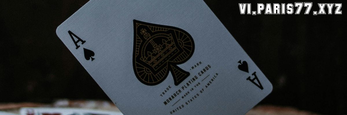 vi.paris77.xyz
